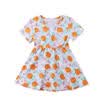 Toddler Kids Baby Girls Lovely Pastoral Style Short Sleeve Dress Clothes Summer