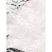 Fashion Women Short Sleeve Shirt Casual Lace Blouse Loose Cotton Tops T-Shirts