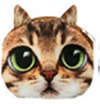 Pouch Bag New Cute Women Shoulder Bag Cat Face Cartoon Print Zipper Closure Messenger Clutch Coin Purse Bag Phone Bag B7W4F4L2