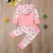 US Stock 2Pcs Toddler Kids Girls Hooded Tops Long Pants Trousers Outfits Clothes