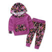 2PCS Baby Girls Long Sleeve T-shirtFloral Pants Outfits Toddler Hooded Clothes