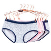 Antarctic Nanjiren NF14X25232 Ladies Underwear 5 Mixed-stocked Triangle Underwear Women&39s Cotton Fabrics Low waist belly love section -XL