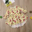Toddler Kids Baby Girls Flowers Princess Party Long Sleeve Tutu Dress Clothes
