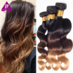 Ombre Malaysian Hair 4 Bundles 8A Grade Ombre Human Hair Weave Malaysian Body Wave 1B427 3 Tone Ombre Hair Weave Bundles 4 pcs