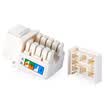 AMPC AMPCOM six types of network modules engineering environmental protection shell 50U gold-plated