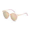 Pasha Prsr fashion sunglasses ladies sunglasses T60093-T087-1