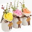 Incienso creativo perfumado bolso flor seca aroma aroma conjunto otoño agua Yi personas lavanda granada roja fuego gardenia LXJ-315