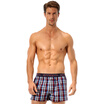 Seven Wolves Men&39s Cotton Shorts Men&39s Arrow Pants Men&39s Shorts Ladies England Wind Single Piece 06494 Lattice Blue L