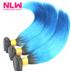 NLW 10A Brazilian virgin human hair 3 bundles Silk straight hair extensions Ombre T1BLight blue Hair color