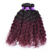 Burgundy Afro Kinky Curly Ombre Hair Weave Red Ombre Kinky Curly Human Hair Weave 5 Bundles Two Tone Malaysian Hair Kinky Curly