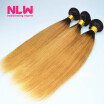 NLW 10A Brazilian virgin human hair 3 bundles Silk straight hair extensions Ombre T1B27 Hair color