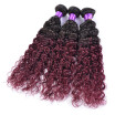 Malaysian Kinky Curly Virgin Hair 2 Bundles Xuchang Loving Hair Malaysian Curly Hair Tissage Malaysian Ombre Curly Human Hair