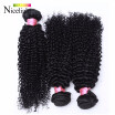 Brazilian Kinky Curly Virgin Hair Bohemian Curly Hair 7A Unprocessed Virgin Brazilian Hair Afro Kinky Curly Weave Human Hair