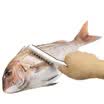 Jingdong supermarket pearl life stainless steel scraper scale practical fish scale shrimp imports fish scale brush C-6338