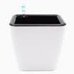 Open road Chi square large automatic water absorption flower pot lazy flower pot caliber 18cm high 16cm white black inner basin