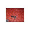 Free shipping 20PCS 100 NEW LMC6484IM LMC6484AIM
