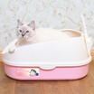 Petty CHOWSING semi-enclosed high-cover single-layer cat sand basin large cat toilet pink
