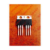 IRF100B202
