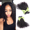 Cheap Indian Kinky Curly Virgin Hair 4 Bundles Curly Weave Human Hair Bundles Indian Curly Virgin Hair Wet And Wavy Hair Weave