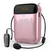 Soaiy S-588 13W Portable Wireless Speaker