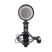 iSK P33 power-free condenser microphone black bottle shout wheat anchor live equipment sound card set network K song recording microphone