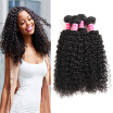 Fine Plus Peruvian Virgin Kinkys Curly Hair Unprocessed Virgin Human Curly Hair Extensions 4 Bundles Mixed Length Natural Color