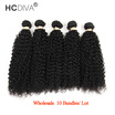 HCDIVA Peruvian Virgin Hair Kinky Curly 10 Bundles Deal Natural Black Can Be Dyed&Bleached