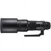 SIGMA 500mm F4 DG OS HSMSports Full Frame Super-telephoto Prime Lens Shooting Birds&39 Lotus Canon SLR Mount