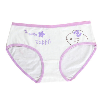 Fashion Kids Panties Girls Briefs Female Child Underwear Ladies Underpanties Children Clothing 9-20T
Fashion Kids Panties Girls Briefs Female Child Underwear Ladies Underpanties Children Clothing 9-20T