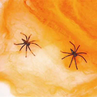 Halloween Simulation Spider Cobweb Decor for Masquerade 3D Simulation Haunted House Fools Day Toys Halloween Horror Supplies
Halloween Simulation Spider Cobweb Decor for Masquerade 3D Simulation Haunted House Fools Day Toys Halloween Horror Supplies