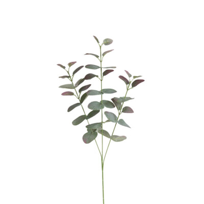 New Artificial Leaves Fake Garden For Wall Material Plants Decorative Large Eucalyptus Leaf Simulation Green Plant
New Artificial Leaves Fake Garden For Wall Material Plants Decorative Large Eucalyptus Leaf Simulation Green Plant