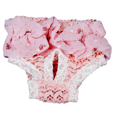 Lovely Puppy Lace Physiological Pants Pet Breathable Underwear During Period Pants Menstruation Panty
Lovely Puppy Lace Physiological Pants Pet Breathable Underwear During Period Pants Menstruation Panty