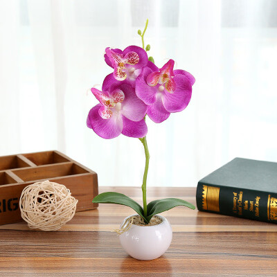 Toponeto Simulated Plant Bonsai Indoor Butterfly Orchid Bonsai Plants Elegance Tranquilit
Toponeto Simulated Plant Bonsai Indoor Butterfly Orchid Bonsai Plants Elegance Tranquilit
