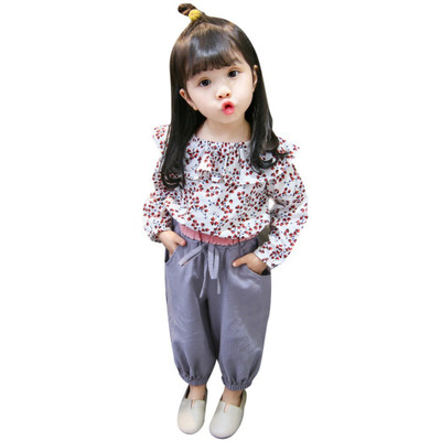 Autumn Baby Girls Clothes Set Casual Long Sleeve Floral Print Pullover T-shirts TopsPants Suits for Children Kids Costume Sets
Autumn Baby Girls Clothes Set Casual Long Sleeve Floral Print Pullover T-shirts TopsPants Suits for Children Kids Costume Sets