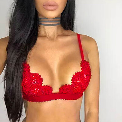 Crop Top Sexy Sheer Bralette Push Up Lace Bralette Mesh Bras For Women Bralette encaje Lingerie Lace Bra Tops
Crop Top Sexy Sheer Bralette Push Up Lace Bralette Mesh Bras For Women Bralette encaje Lingerie Lace Bra Tops