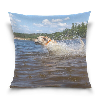 ALAZA Throw Pillow Case Decorative Pillow Covers 16 X 16 inch Labrador Bathing The River Pattern Pillowcase
ALAZA Throw Pillow Case Decorative Pillow Covers 16 X 16 inch Labrador Bathing The River Pattern Pillowcase