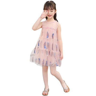 Mesh Princess Embroidery Dress Fashion Baby Girl Clothes Summer Sleeveless Feather Embroidered Dress For Girls
Mesh Princess Embroidery Dress Fashion Baby Girl Clothes Summer Sleeveless Feather Embroidered Dress For Girls