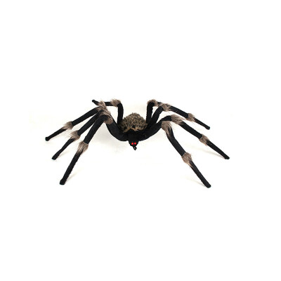 Halloween Props Spider Giant Spider Web Simulation Plush Bar Decoration Spoof Tidy Toy For Outdoor Garden
Halloween Props Spider Giant Spider Web Simulation Plush Bar Decoration Spoof Tidy Toy For Outdoor Garden