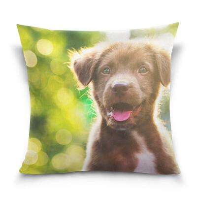 ALAZA Throw Pillow Case Decorative Pillow Covers 16 X 16 inch Portrait Of Brow Labrador Pattern Pillowcase
ALAZA Throw Pillow Case Decorative Pillow Covers 16 X 16 inch Portrait Of Brow Labrador Pattern Pillowcase