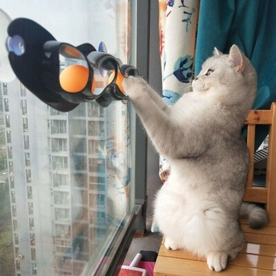 Willstar Funny Cat Toys Pet Cat Wall Track Table Tennis Interactive Track Ball Cat Window Suction Cup Track Ball
Willstar Funny Cat Toys Pet Cat Wall Track Table Tennis Interactive Track Ball Cat Window Suction Cup Track Ball