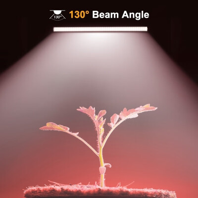 2PCS x Plant Grow Light Tube Full Spectrum Transparent Plant Lamp Length 60120CM
2PCS x Plant Grow Light Tube Full Spectrum Transparent Plant Lamp Length 60120CM