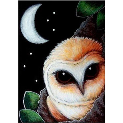 DIY Diamond Painting Cross Stitch Cute Owl Full Round Diamond Embroidery Rhinestone Home Decor Handwork Gift Canvas Size 25x30cm
DIY Diamond Painting Cross Stitch Cute Owl Full Round Diamond Embroidery Rhinestone Home Decor Handwork Gift Canvas Size 25x30cm