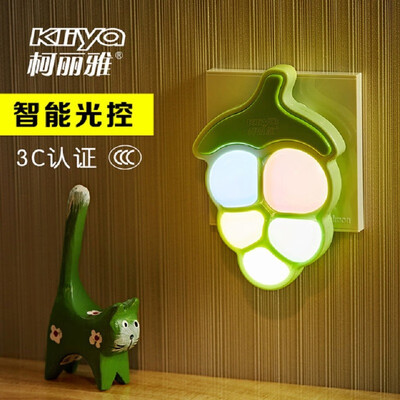 Creative New unique LED Light Control Induction Night Lamp bedroom Corridor Creative Energy Saving
Creative New unique LED Light Control Induction Night Lamp bedroom Corridor Creative Energy Saving