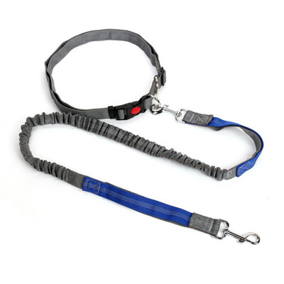 Pet Dog Running Retractable Leashes Hands Freely Great for Walking Dog Leash Rope Reflective Jogging Dog Collars Leash
Pet Dog Running Retractable Leashes Hands Freely Great for Walking Dog Leash Rope Reflective Jogging Dog Collars Leash