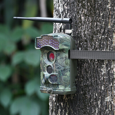 12MP 1080P Wireless MMS SMTP FTP 3G Trail Camera Hunting Game Camera Outdoor Wildlife Scouting Camera with 3 PIR Sensors Infra
12MP 1080P Wireless MMS SMTP FTP 3G Trail Camera Hunting Game Camera Outdoor Wildlife Scouting Camera with 3 PIR Sensors Infra