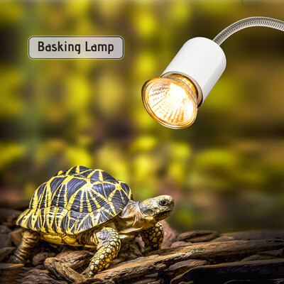 25W Halogen Heat Lamp UVA UVB Basking Lamp Heater Light Bulb for Reptiles Lizard Turtle Aquarium
25W Halogen Heat Lamp UVA UVB Basking Lamp Heater Light Bulb for Reptiles Lizard Turtle Aquarium