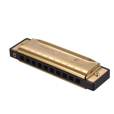 Key of C Diatonic Harmonica Mouthorgan with ABS Reeds Mirror Surface Design 10 Holes Blues Harmonica Perfect for Beginners Profess
Key of C Diatonic Harmonica Mouthorgan with ABS Reeds Mirror Surface Design 10 Holes Blues Harmonica Perfect for Beginners Profess