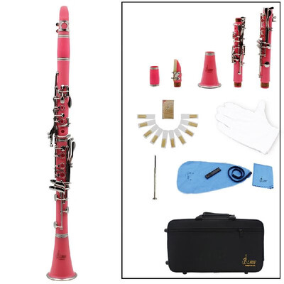 Clarinet ABS 17 Key bB Flat Soprano Binocular Clarinet with Cleaning Cloth Gloves 10 Reeds Screwdriver Reed Case Woodwind Instrum
Clarinet ABS 17 Key bB Flat Soprano Binocular Clarinet with Cleaning Cloth Gloves 10 Reeds Screwdriver Reed Case Woodwind Instrum
