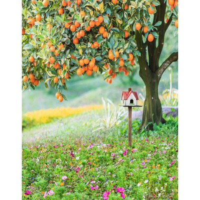 Persimmon Tree Photo Backdrop 57FT Vinyl Fabric Cloth Digital Printing Background s-2191
Persimmon Tree Photo Backdrop 57FT Vinyl Fabric Cloth Digital Printing Background s-2191