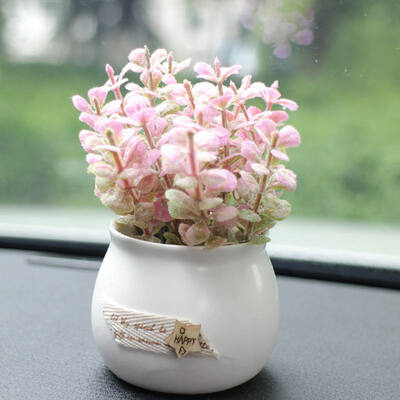 Car Simulation Plant Ornaments Lovely Green Plant Chrysanthemum Rose Lavender Car Decor
Car Simulation Plant Ornaments Lovely Green Plant Chrysanthemum Rose Lavender Car Decor